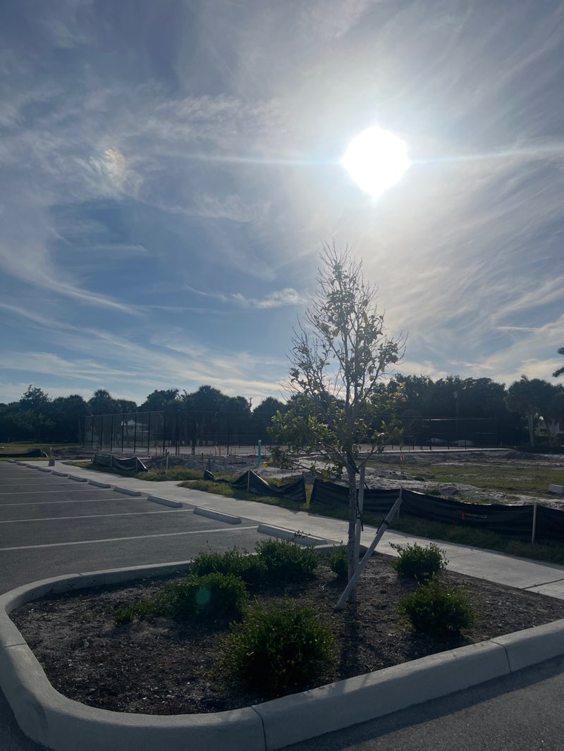 walking near me in Boca Grande Ballfield in winter