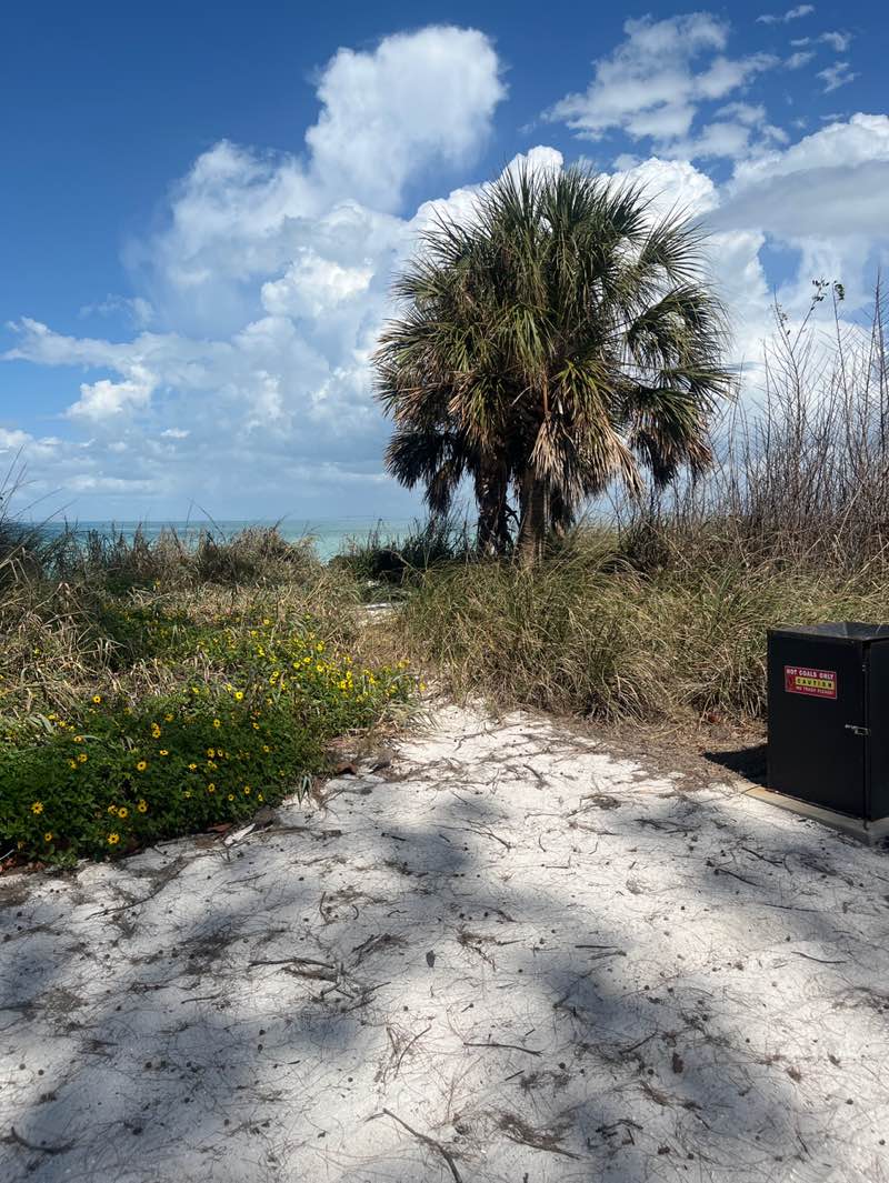 walking near me in Anna Maria Bayfront Park in spring