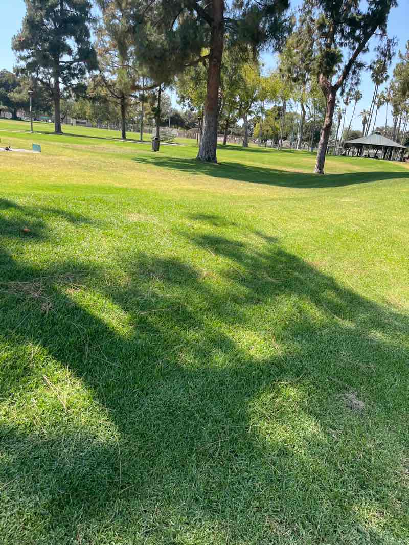 walking near me in Jose Del Valle Park in autumn