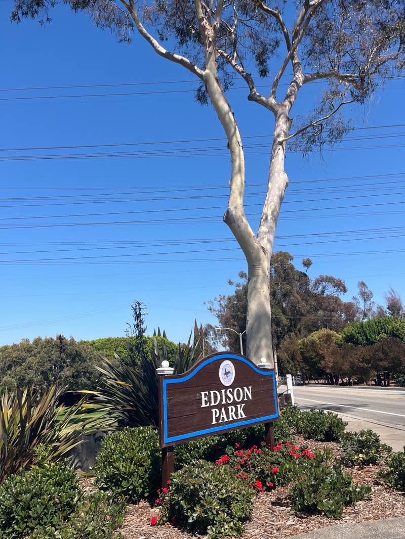 walking near me in Edison Park in autumn