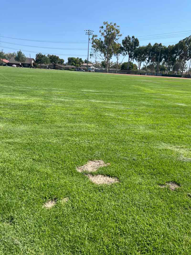 walking near me in Mae Boyar Park in autumn
