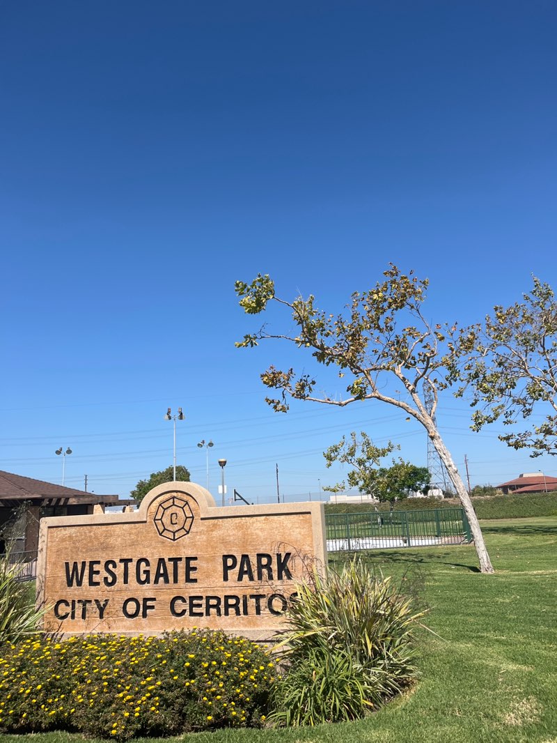 walking near me in Westgate Park in autumn