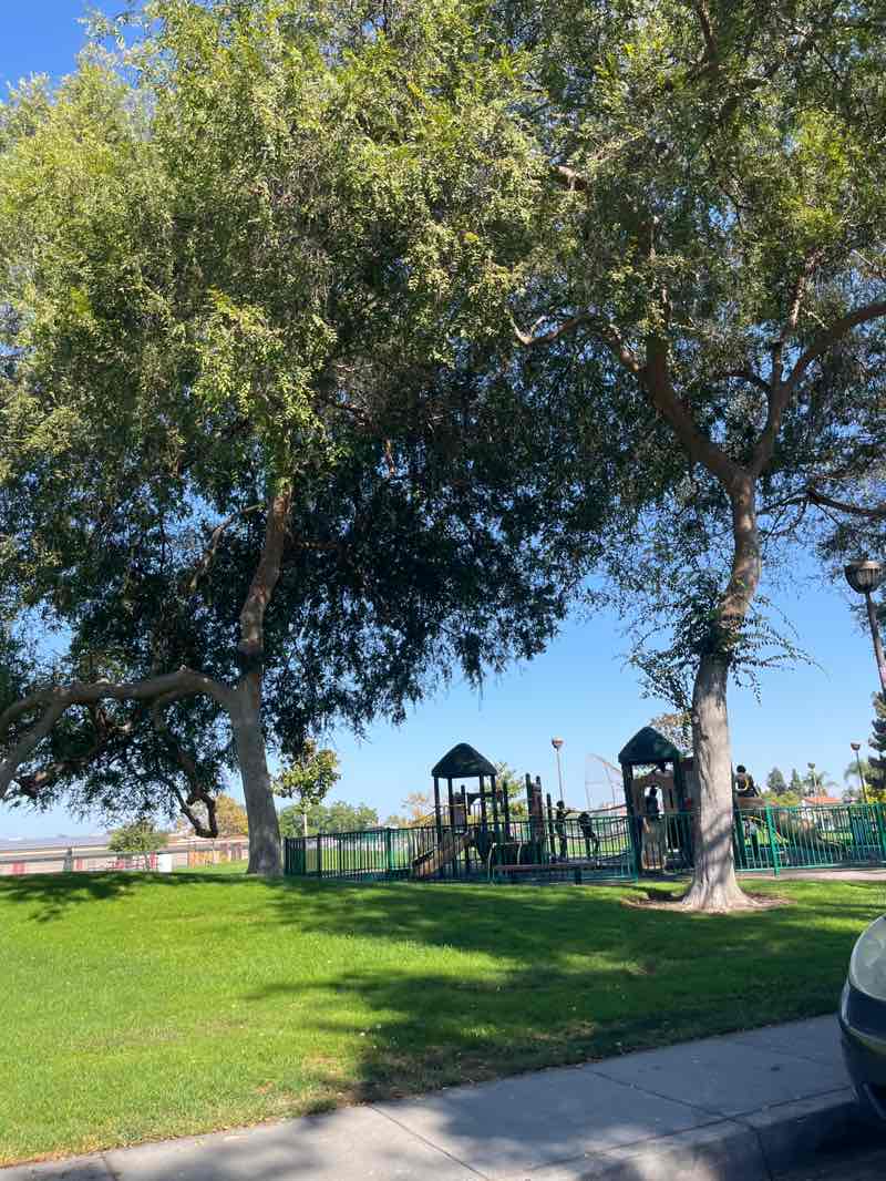 walking near me in Frontier Park in autumn