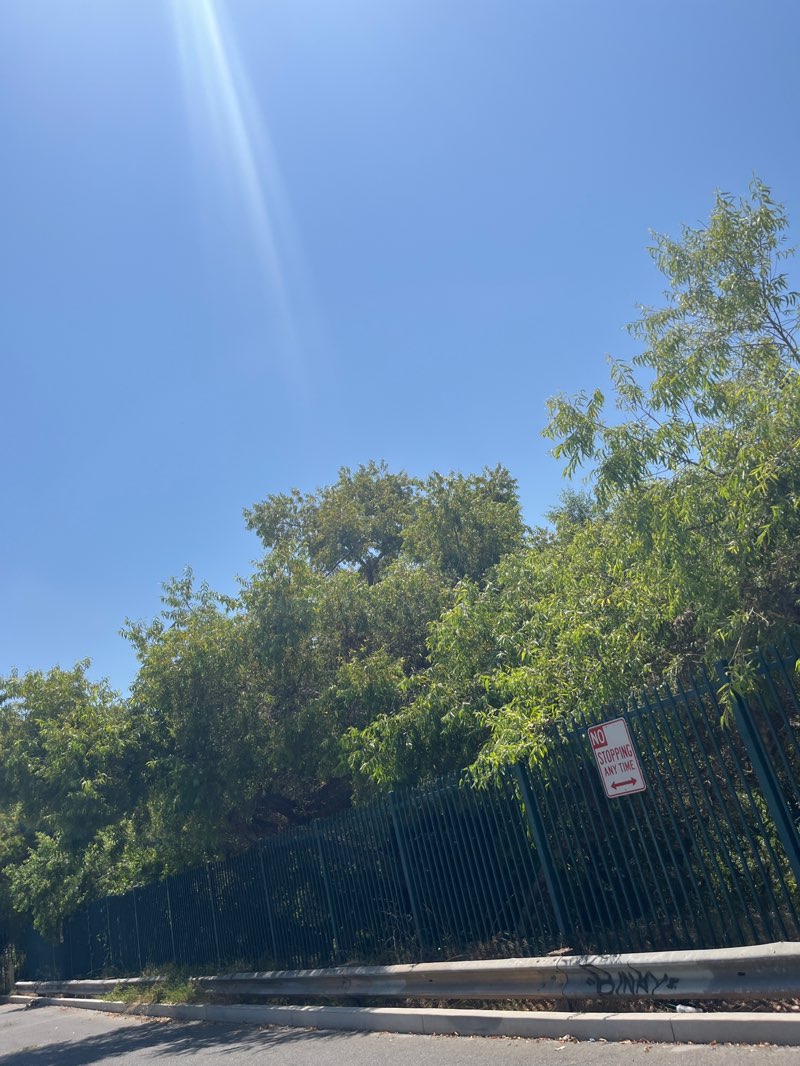 walking near me in Gardena Willows Wetland Preserve in autumn
