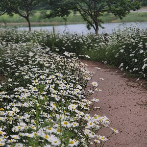 융합국_박재일 profile