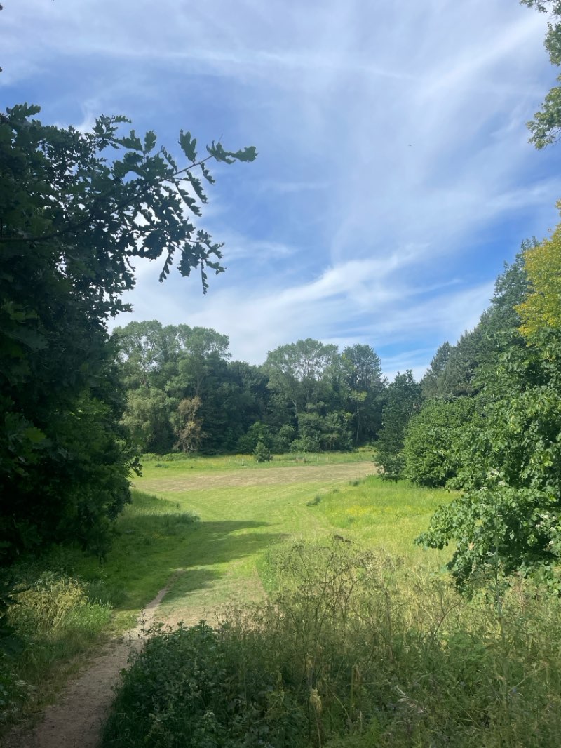 walking near me in Elmhurst Park in summer