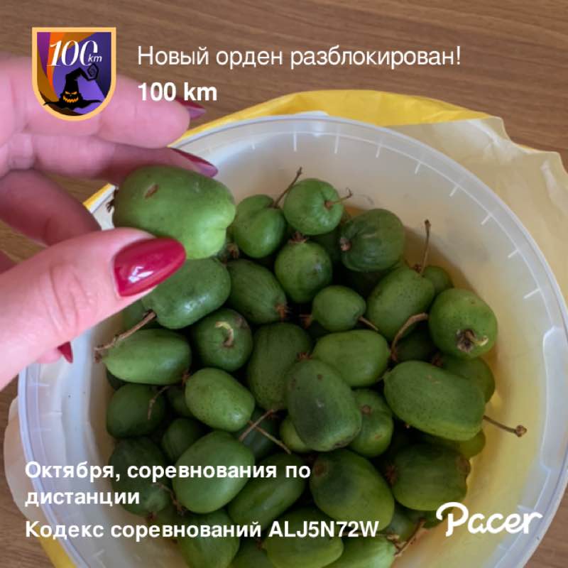 Товарищ🩵🐯🩵 post 1