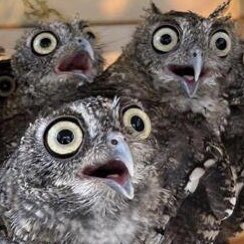 技專辦-郭孟璋 profile