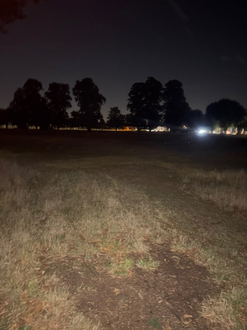 walking near me in Figges Marsh in summer