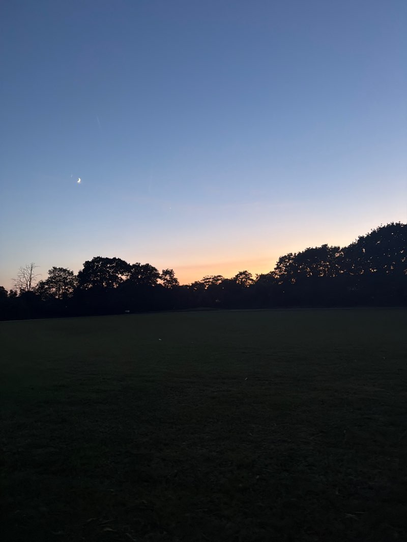 walking near me in Canons Park in summer