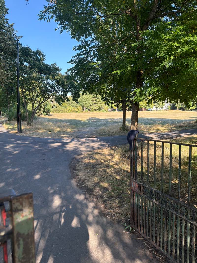 walking near me in The Canons in summer
