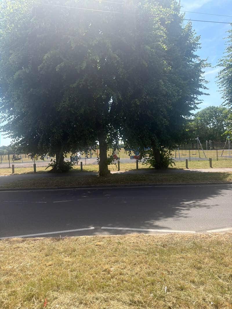 walking near me in Roundshaw Downs in summer