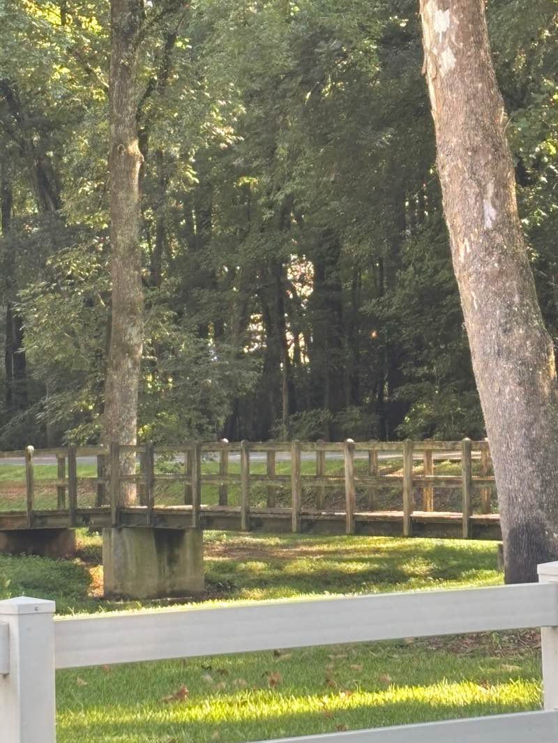 walking near me in Clark Community Park in summer