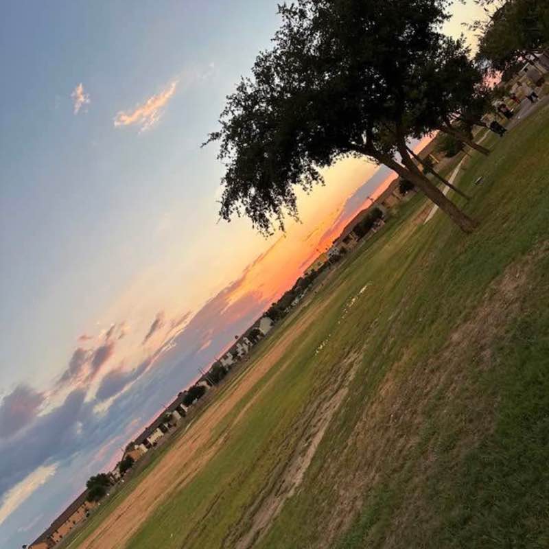 dbustamante10 post 1