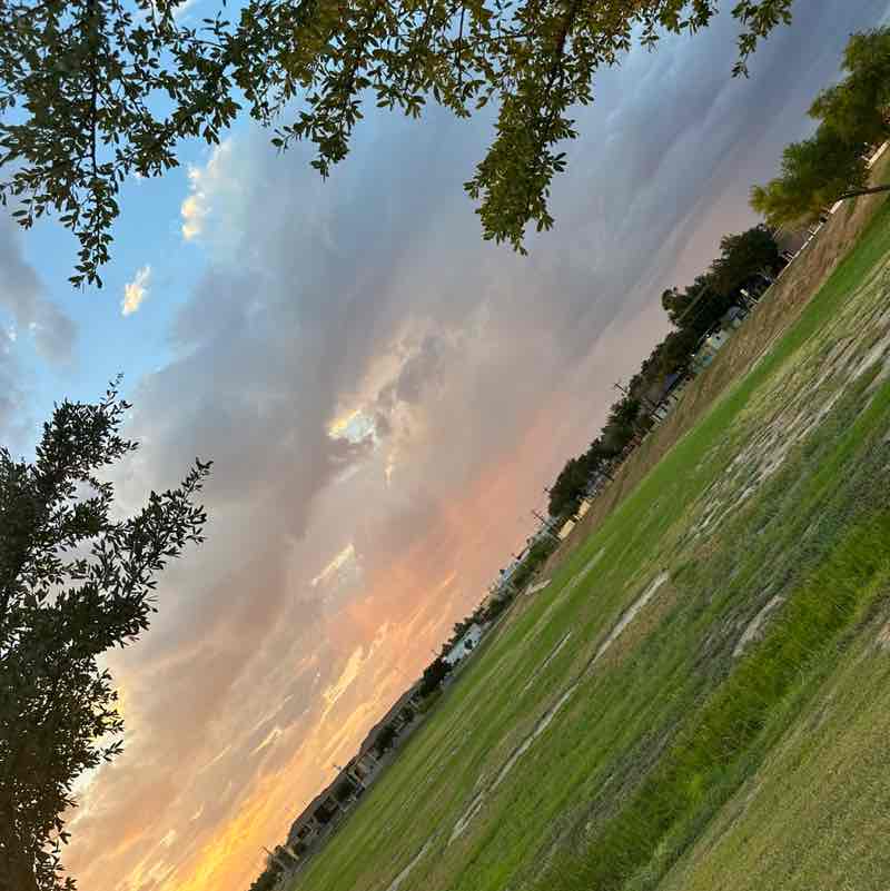 dbustamante10 post 2