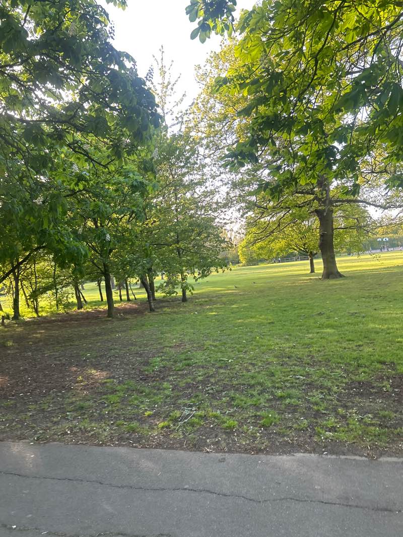 walking near me in West Harrow Recreation Ground in spring
