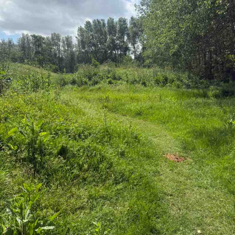 I ❤️ My Pets Kathy @ Hoppeke ❤️🚶‍♀️🥾🌳🚶‍♀️🐕🏖️☀️❤️ post image