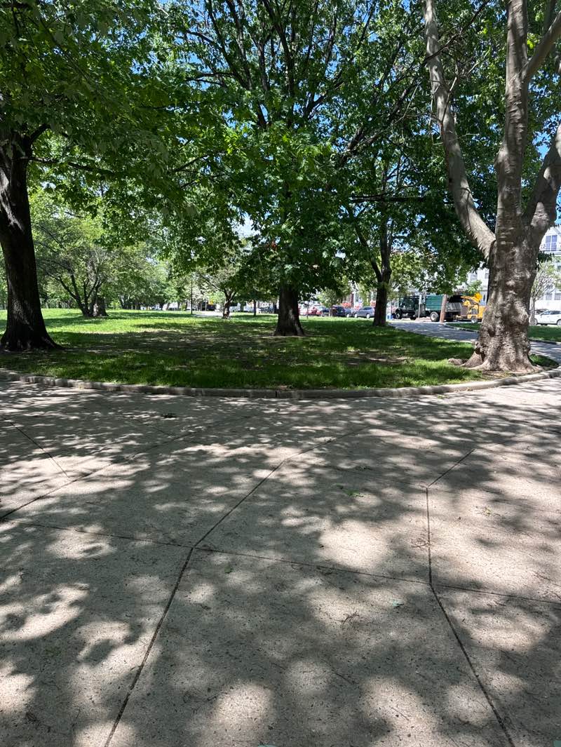 walking near me in Columbia Park in spring