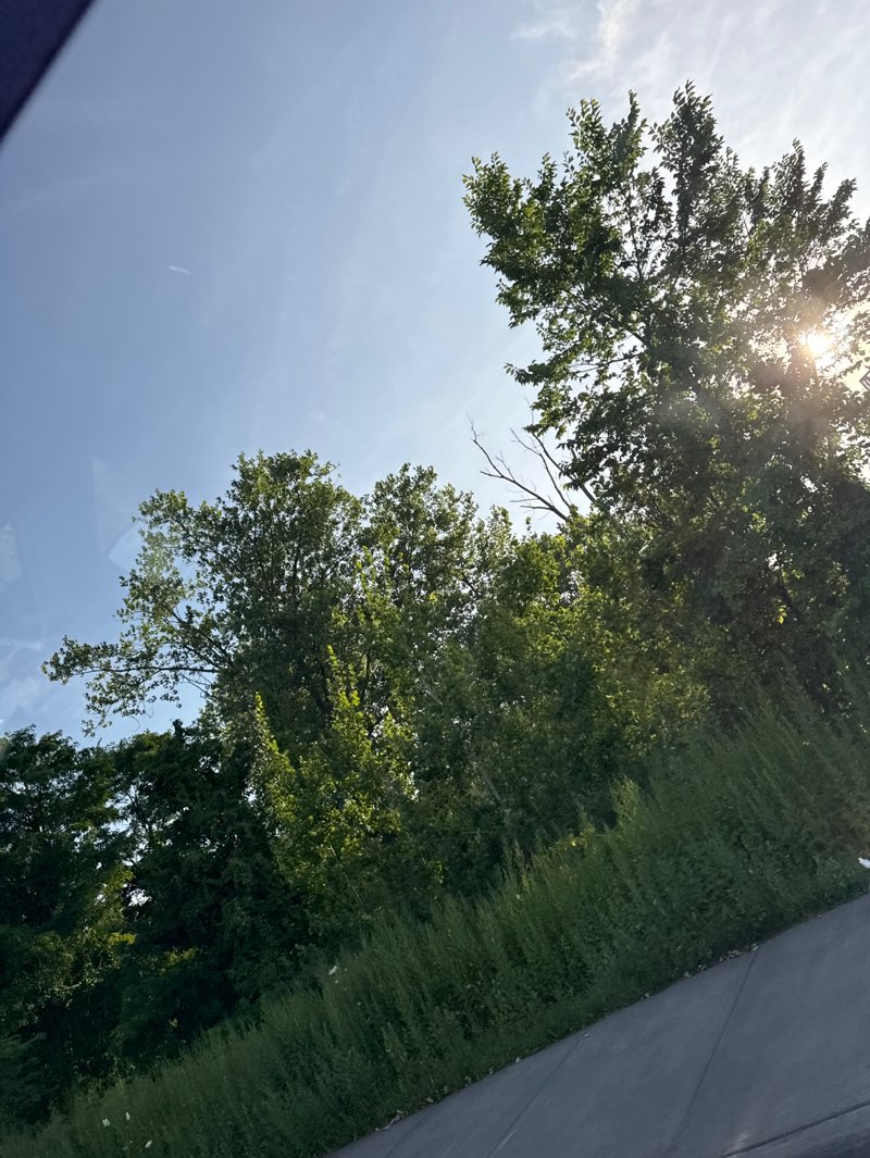 walking near me in Liberty State Park in summer