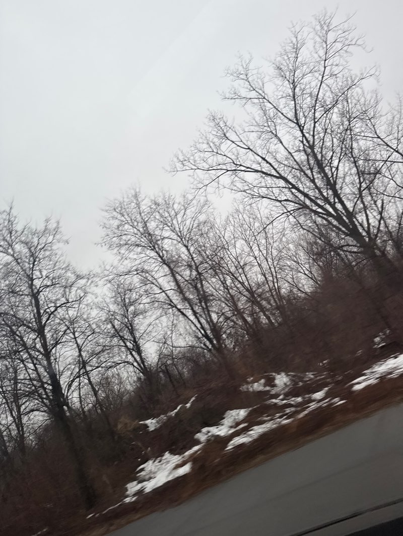 walking near me in Liberty State Park in spring