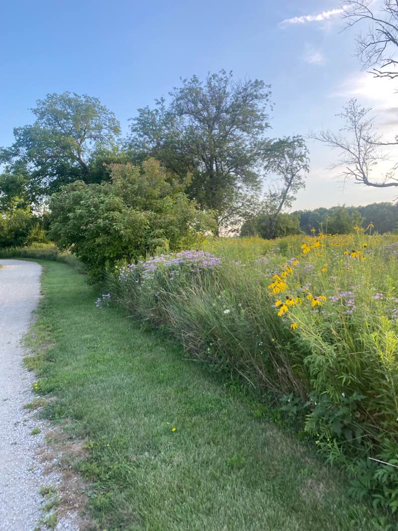 walking near me in Altherr Park in winter