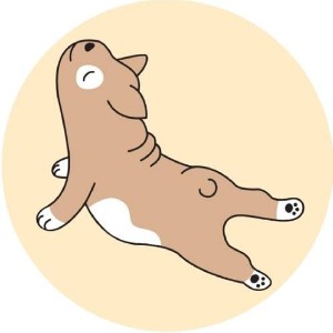 勞安衛生部 周聖倫 profile