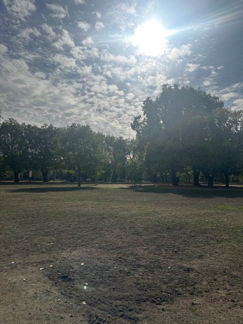 walking near me in Victoria Park in autumn
