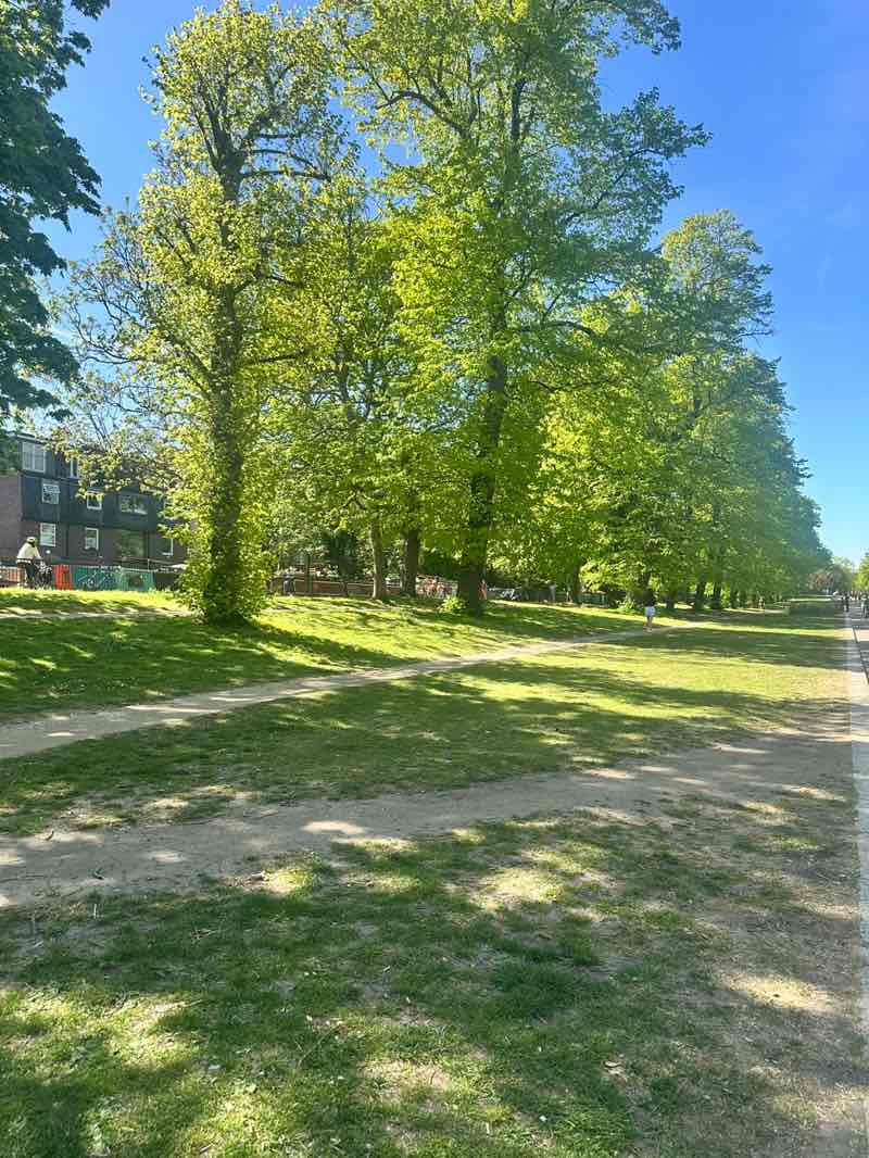 walking near me in Victoria Park in spring