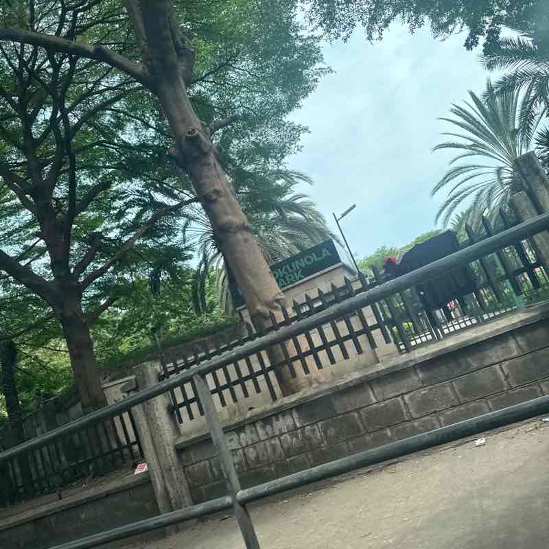 mojirayo post 1