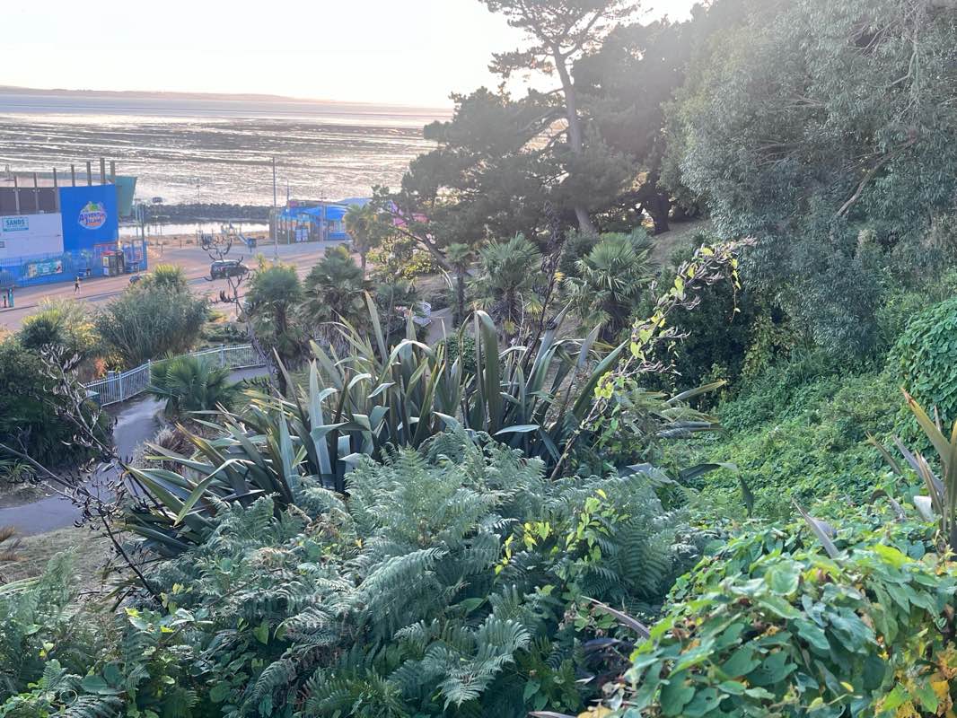 walking near me in The Cliffs in winter