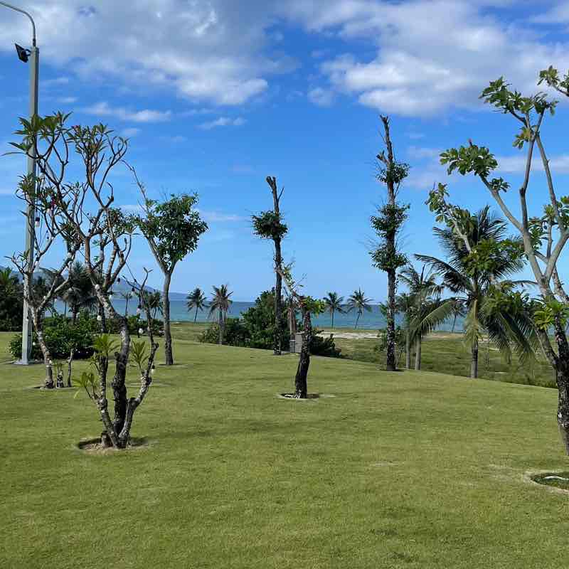 Trần Thành post 2