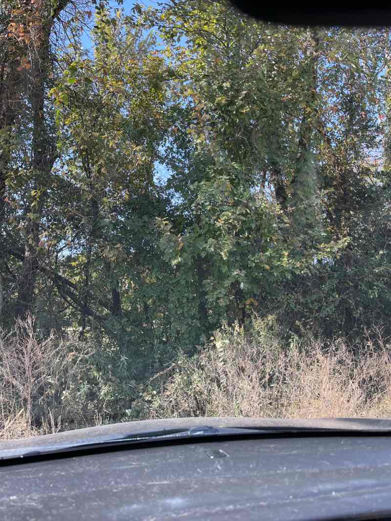 walking near me in Camp Jordan Park in autumn