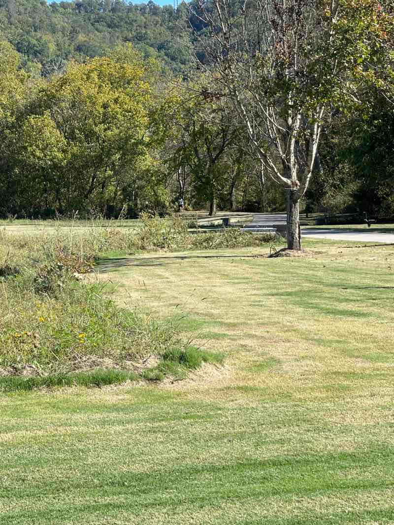 walking near me in Ringgold Recreational Complex in autumn