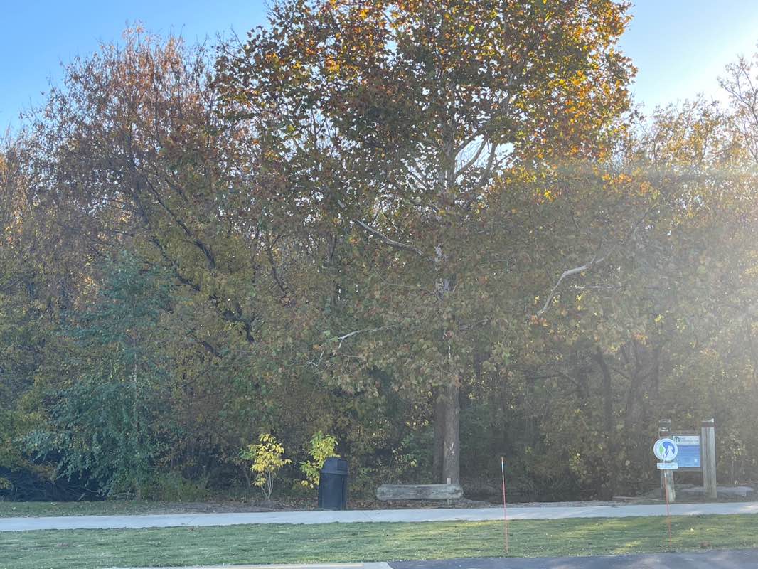walking near me in Chief Richard Taylor Nature Trail in autumn
