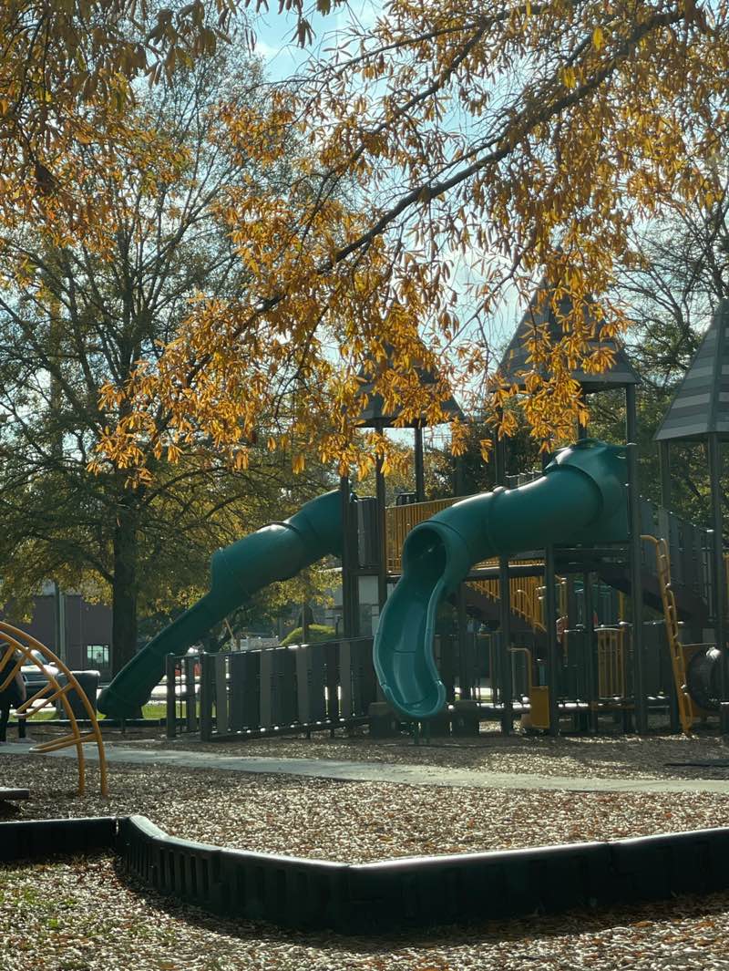 walking near me in Pioneer Frontier Park in autumn