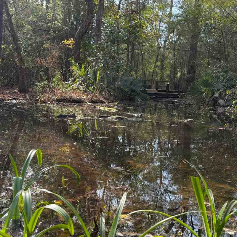 HTX Jenn 🤘🏻🏳️‍🌈🫶🏻 post 1