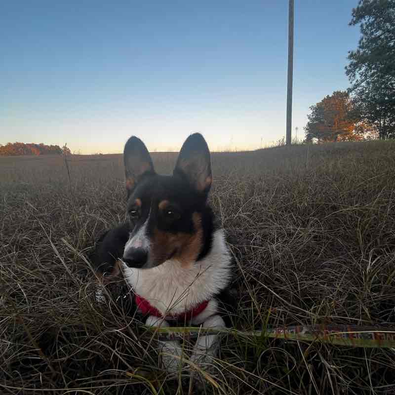 Stay Fit & Stay Fly Nat post image