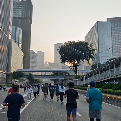 East 🇲🇨Java Wing Patriarga post image