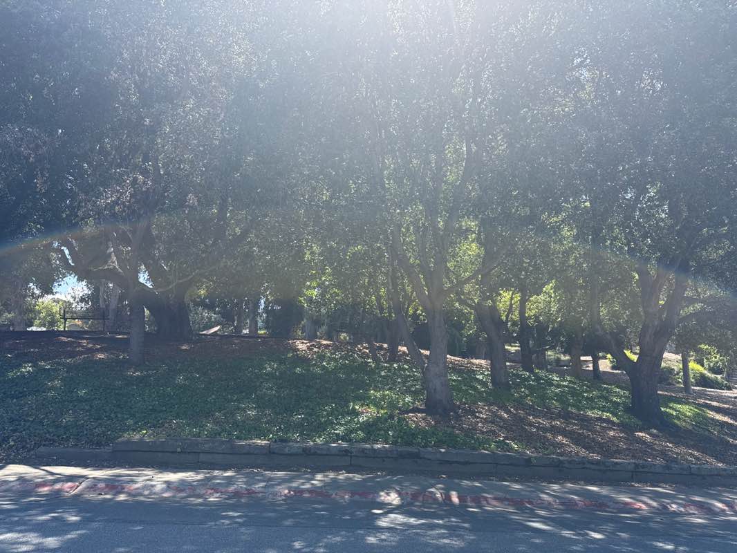 walking near me in Indian Springs Park in spring