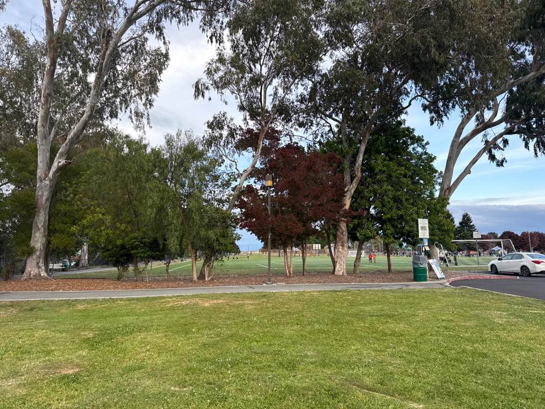 walking near me in Sea Cloud Park in spring