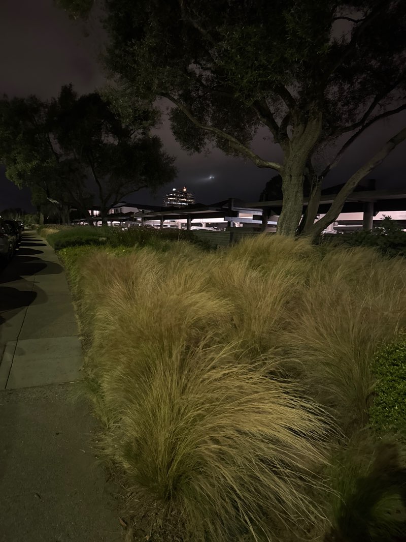 walking near me in Edgewater Park in spring