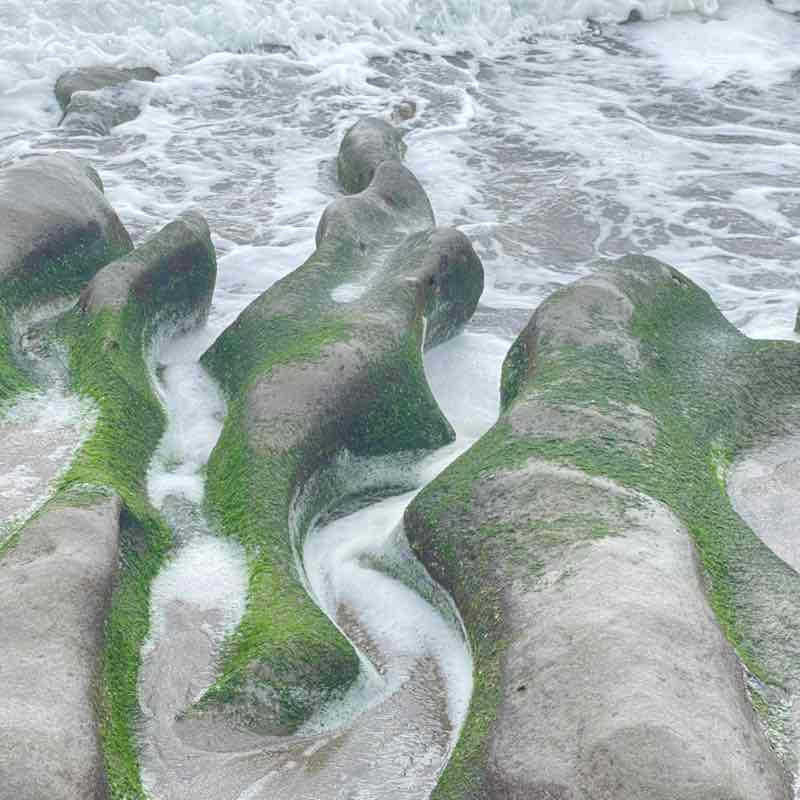 技專辦－張篤軍 post 2