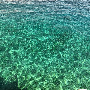 Nata 🇺🇦🇬🇧