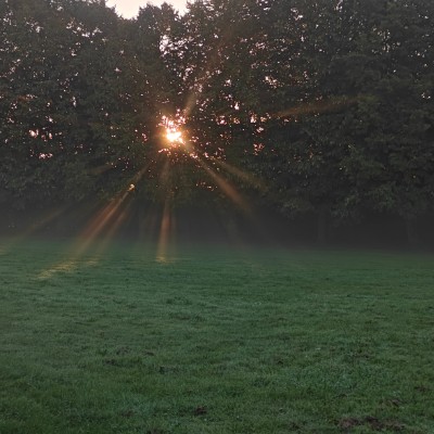 Nata 🇺🇦🇬🇧 post 1