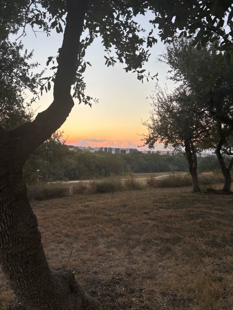 walking near me in Bee Cave Central Park in autumn