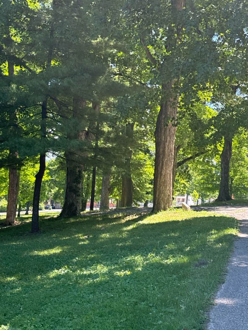 walking near me in Farquhar Park in summer