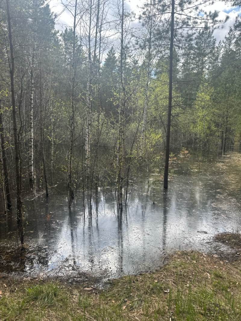 walking near me in Аллея ветеранов Великой Отечественной войны in spring