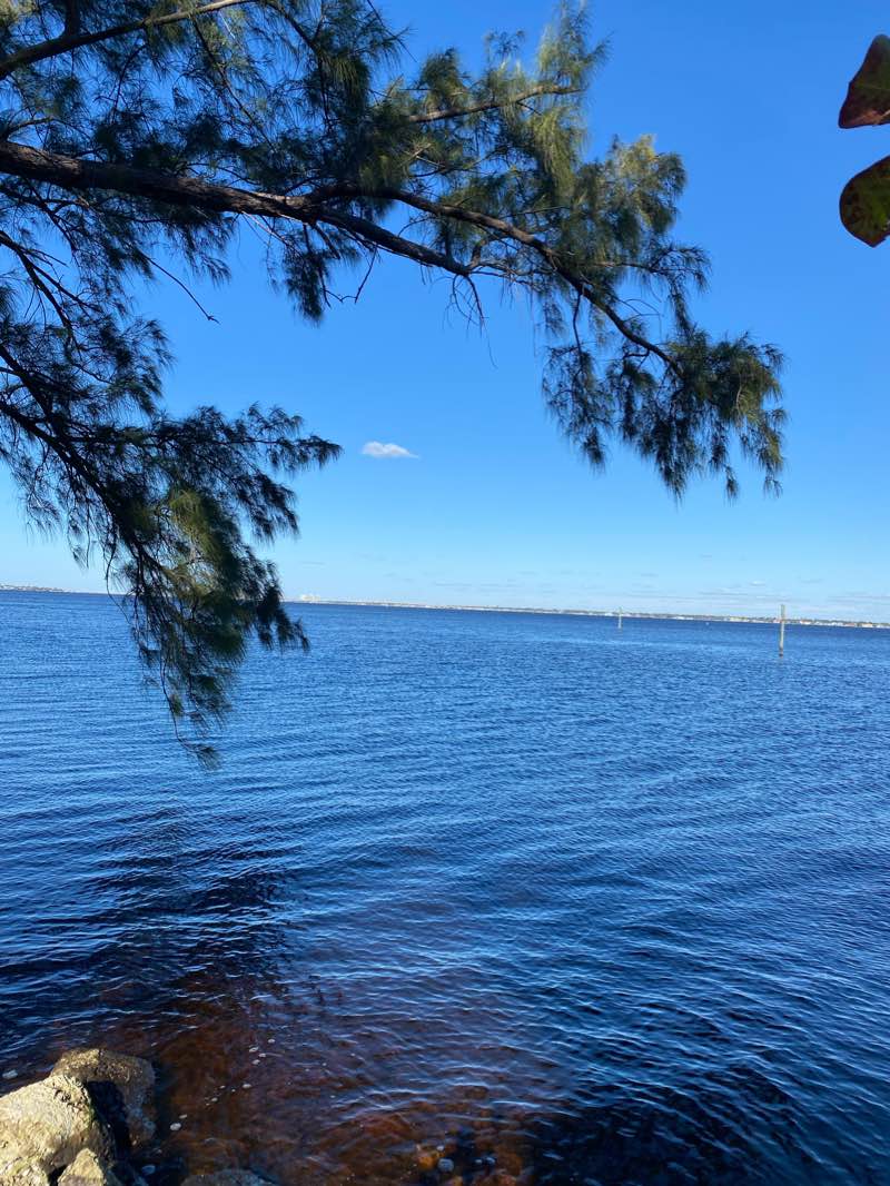walking near me in Jaycee Park in winter