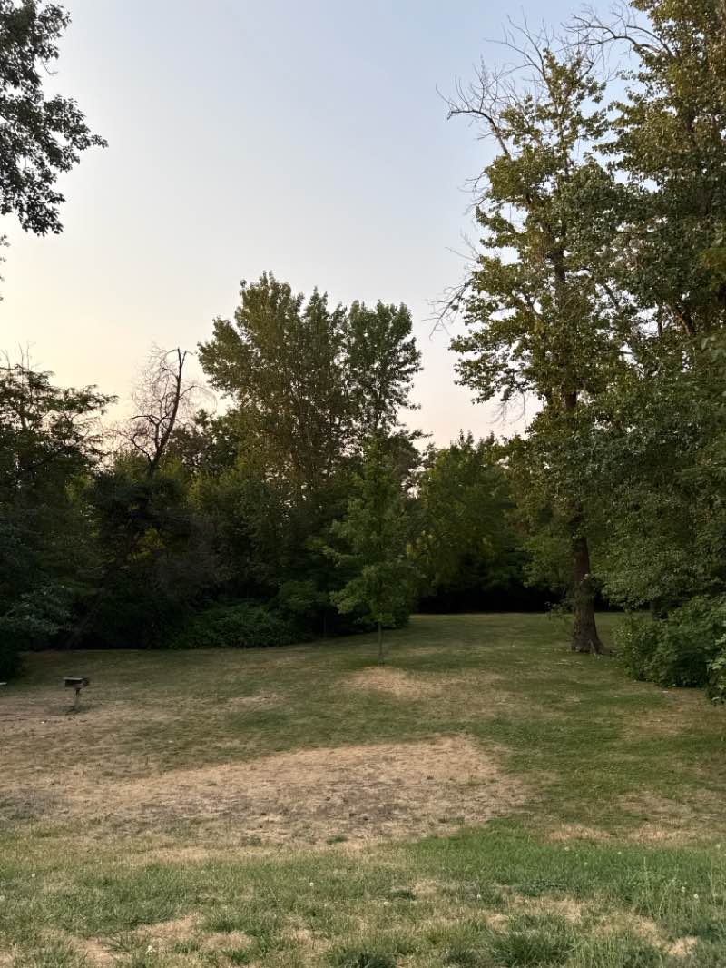 walking near me in Mill Creek Recreation Area in summer