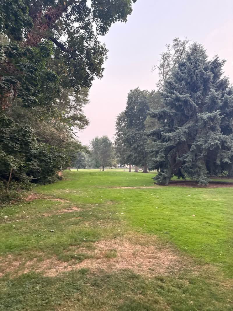 walking near me in Pioneer Park in summer